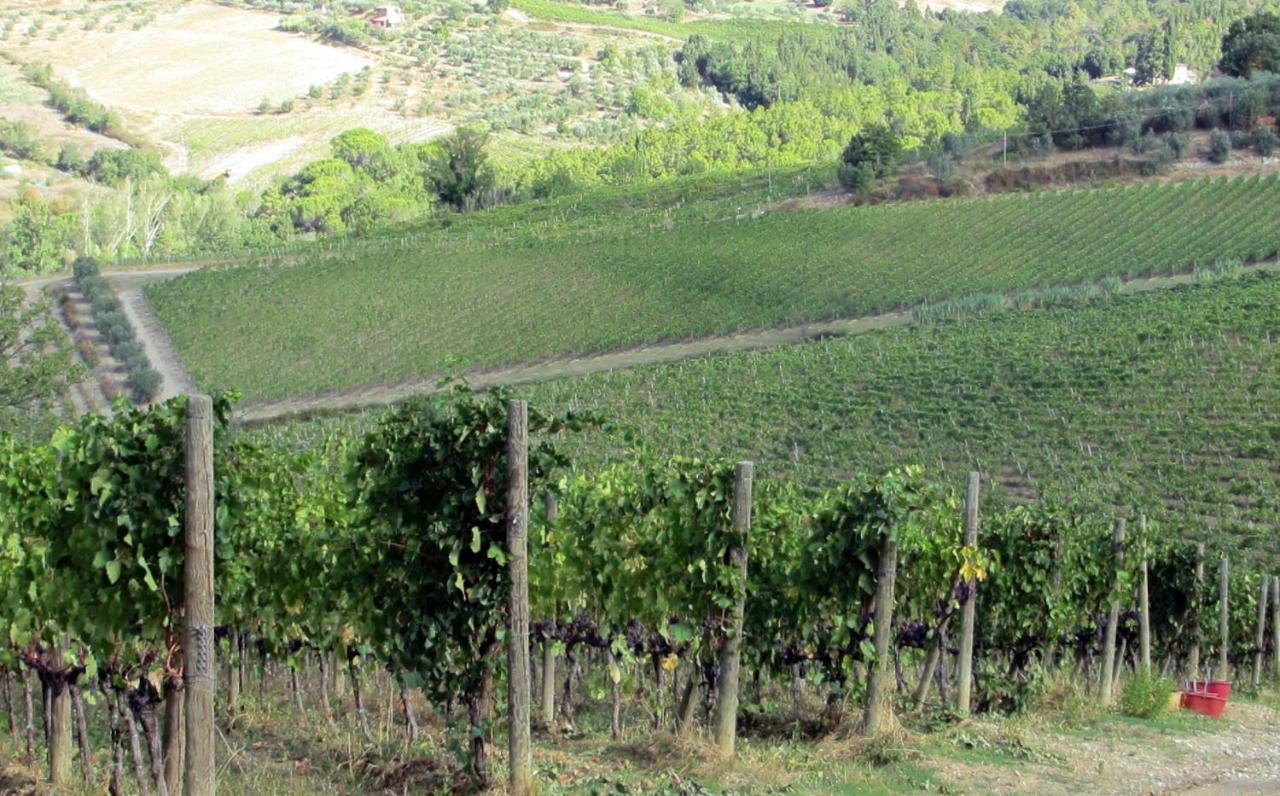 Agriturismo Fattoria Santo Stefano Греве-ин-Кьянти Экстерьер фото